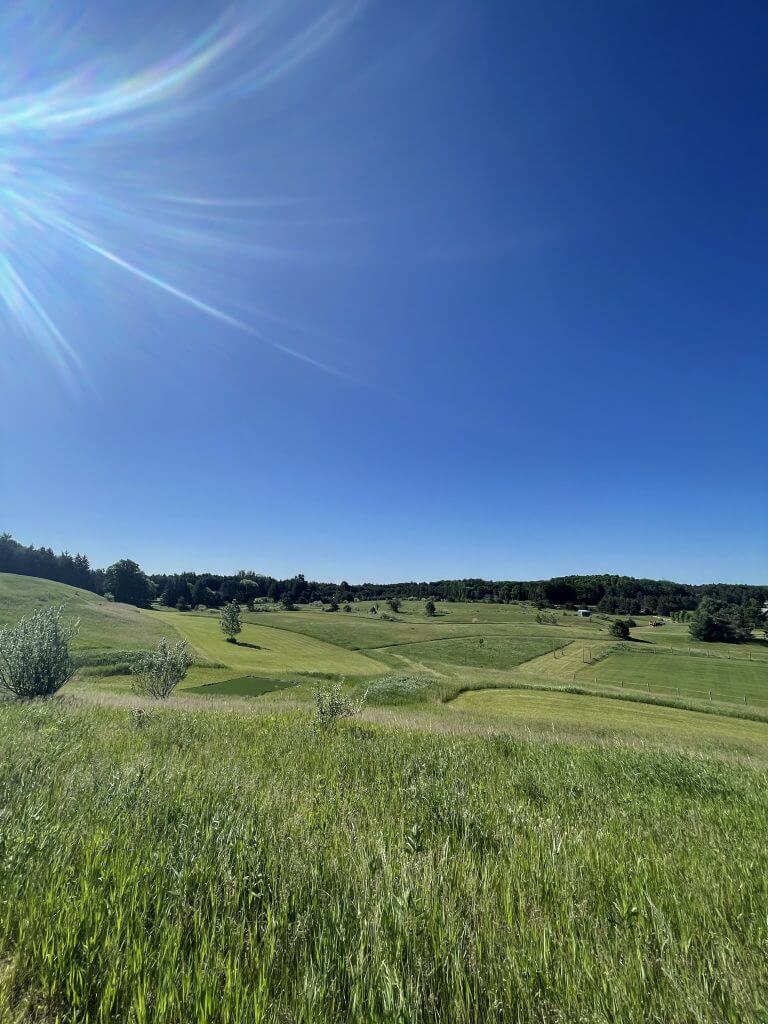 FX Productions Canada A grassy field under a clear blue sky with sunlight streaming in from the upper left, trees line the horizon in the distance—captured flawlessly by FX Productions Canada, your trusted Toronto video production company. Toronto Video Production Company