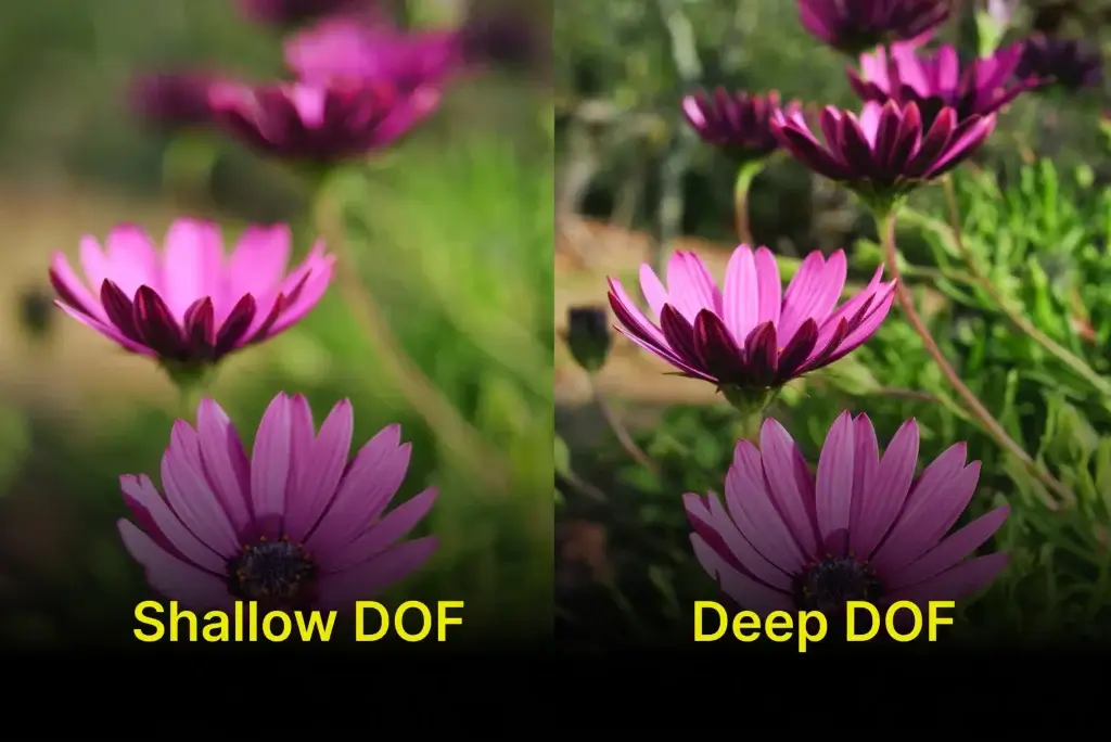 shallow depth of field vs. deep depth of field